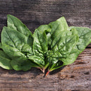 Regiment F1 Spinach Seeds