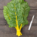 Sunset Chard Seeds