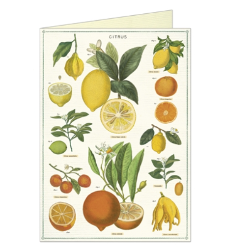 Cavallini: Citrus Greeting Card