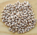 Murphy & Rude Soft Red Wheat