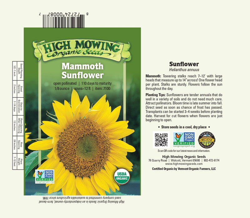 Mammoth Sunflower Seeds