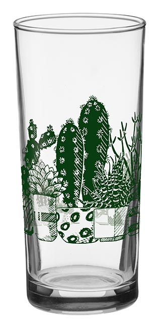 Succulents Drinking Glass