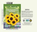 Hella Sonnenblume Sunflower Seeds