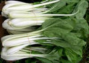 White Stemmed Pak Choi Seeds