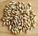 Murphy & Rude Crystal Malt 80L