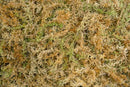 Besgrow Spagmoss Sphagnum Moss