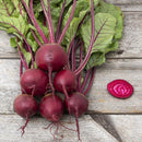 Shiraz Beet Seeds