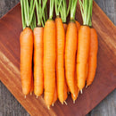 Dolciva Carrot Seeds