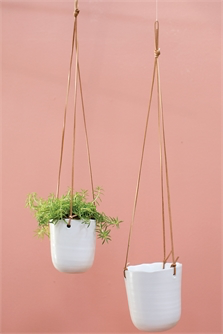 Doni Plant Hanger - 4.75x5 in