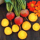 Touchstone Gold Beet Seeds