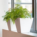 Novelty White Artstone Ella Pot