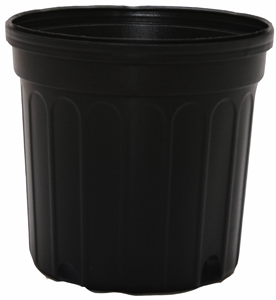 Black Plastic Nursery Pot - 2 gallon