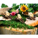 Rabbit Rowing Boat