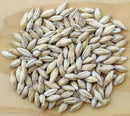 Murphy & Rude Pale Malt
