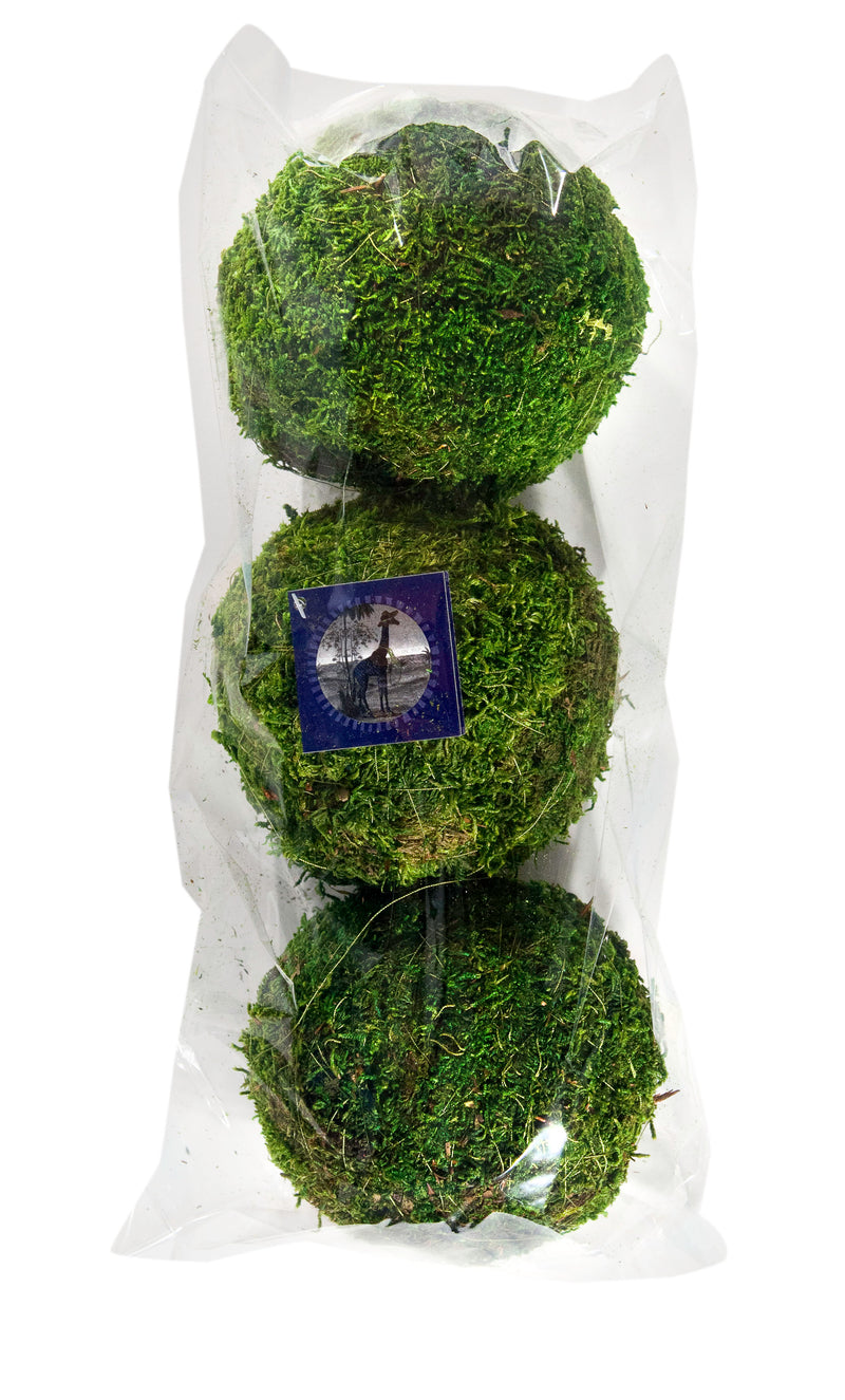 SuperMoss Fresh Green Moss Balls - Assorted Sizes