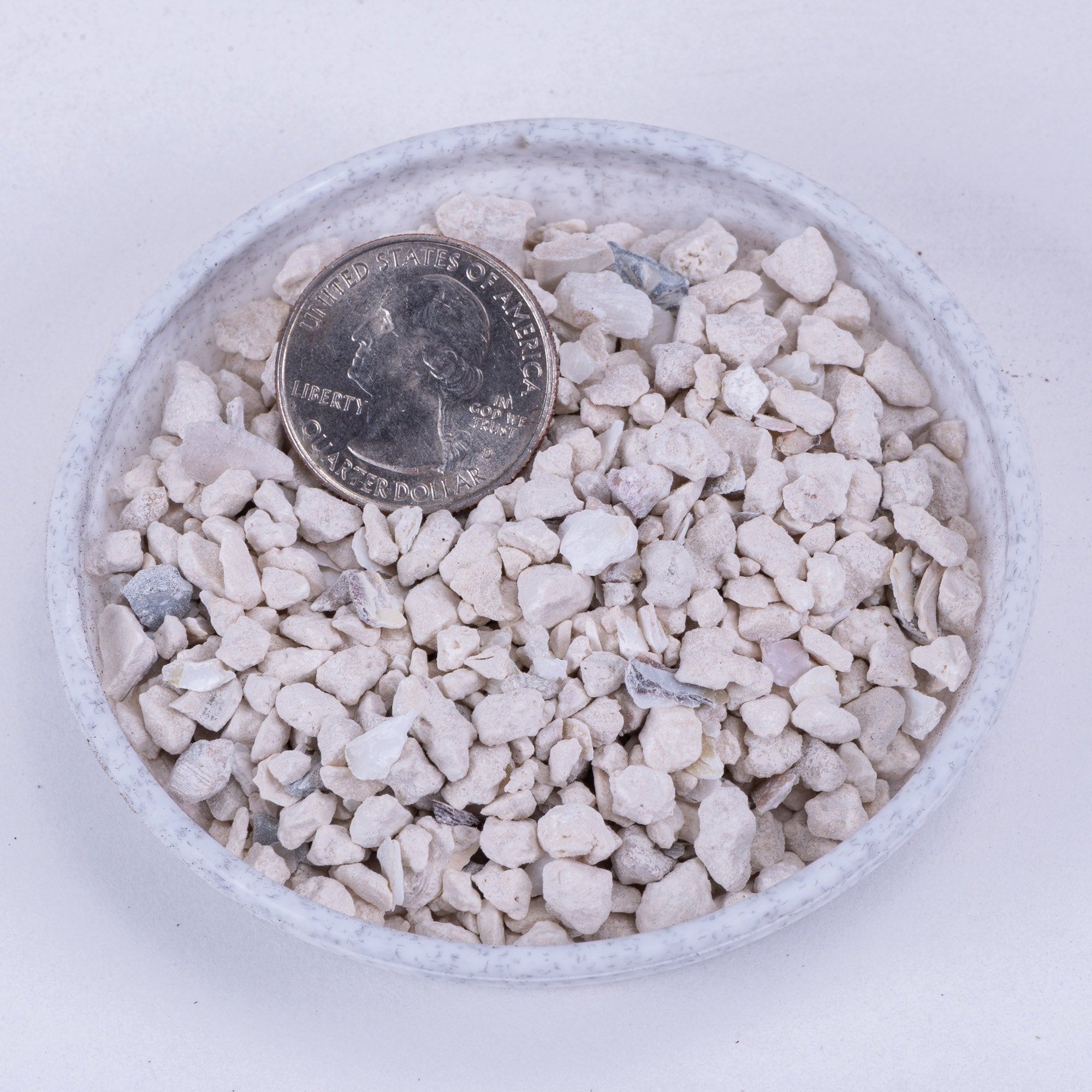 k8.0 oystershell Sea Milk mサイズ K8.0+OysterShell+