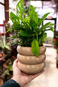 Tootsie Cylinder Planter - 6.3"