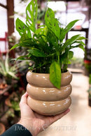Tootsie Cylinder Planter - 6.3"