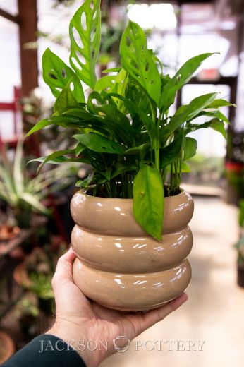 Tootsie Cylinder Planter - 6.3"