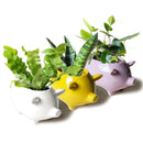 Pig Planter - White
