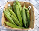Evertender Okra Seeds