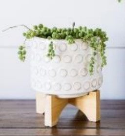 Dottie Planter-with Stand-Assorted-5x6in