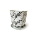 Liberte Pot with Saucer - Grey Parrot - 3.25"