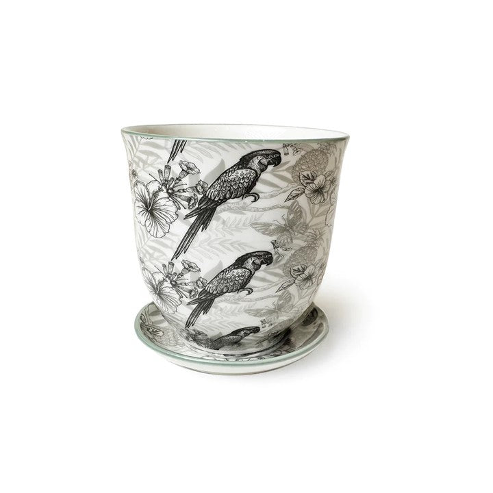 Liberte Pot with Saucer - Grey Parrot - 3.25"