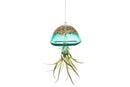 Jellyfish Hand Blown Air Plant Holder - Assorted