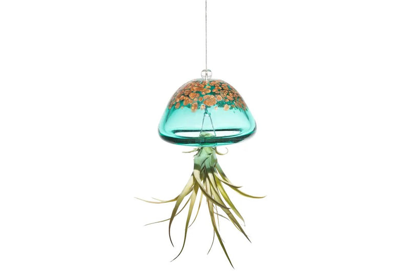 Jellyfish Hand Blown Air Plant Holder - Assorted