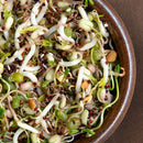 Sprouting Seeds: Salad Bowl Blend - 4oz