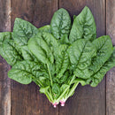 Spinach: Bloomsdale Longstanding Seeds