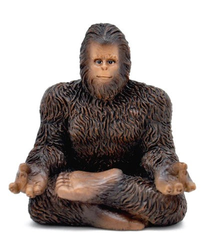 Yoga Bigfoot