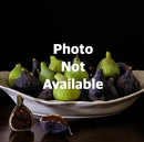 Fig-Chicago Hardy-2 gal