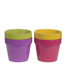 Round Brighton Pot - Assorted - 6.75"