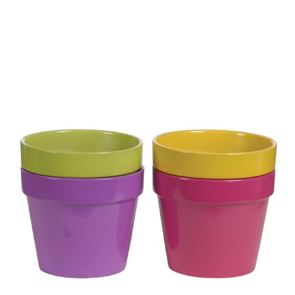 Round Brighton Pot - Assorted - 6.75"