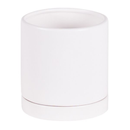 Matte White Cylinder Planter with Saucer - 6 in