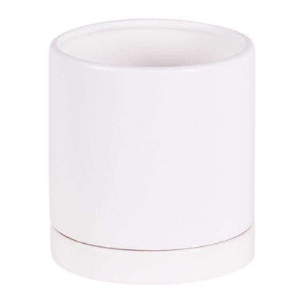Matte White Cylinder Planter with Saucer - 6 in