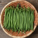 Bean: Compass Haricot Vert Seeds