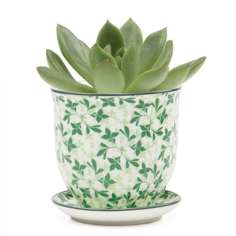 Green Leaves Liberte Pot with Saucer