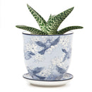 Big Liberte Pot with Saucer - Blue Swallows - 4.25"