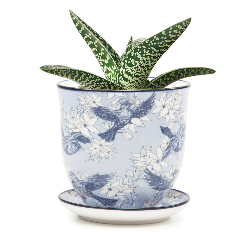 Big Liberte Pot with Saucer - Blue Swallows - 4.25"