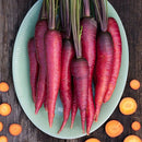 Carrot: Dragon Seeds