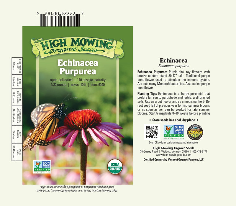 Echinacea Purpurea Coneflower Seeds