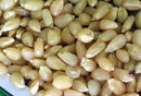 SESE: Corn: Pennsylvania Butter-Flavored Seeds