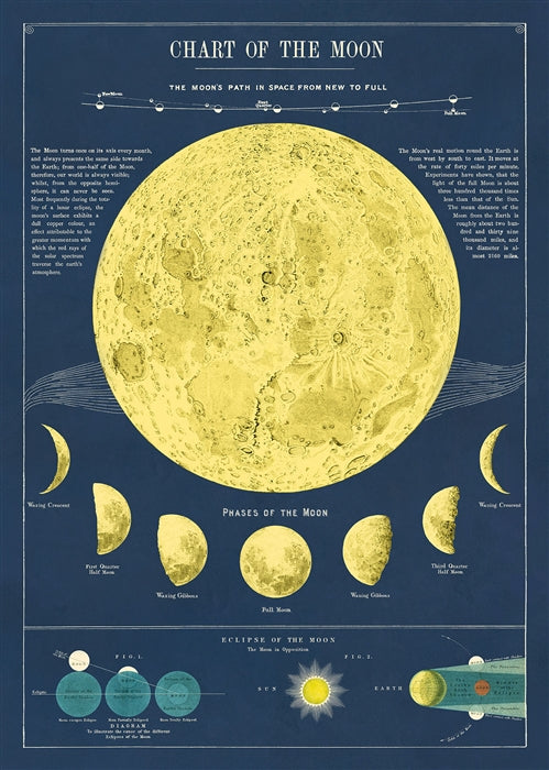 Cavallini Poster: Moon Chart