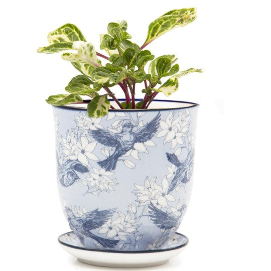 Liberte Pot with Saucer - Blue Swallows - 3.25"