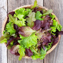 Lettuce: DMR Salad Blend Seeds