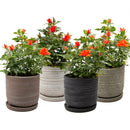 Paul Pot and Saucer - Assorted - 5"