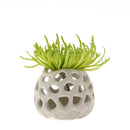 Planet Moon Air Plant Holder